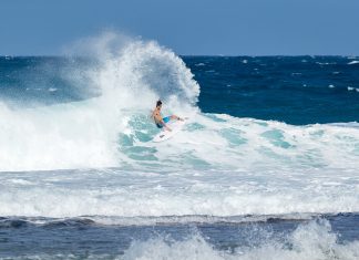 Dias de Aloha