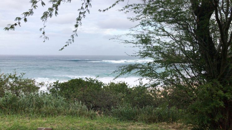 The Bay, North Shore de Oahu, Havaí. Foto: Arquivo pessoal.