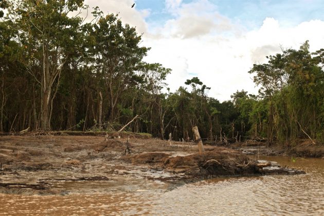 Aspectos da destruição nas margens do Araguari, Pororoca do Rio Araguari (AP). Foto: Alberto Alves.