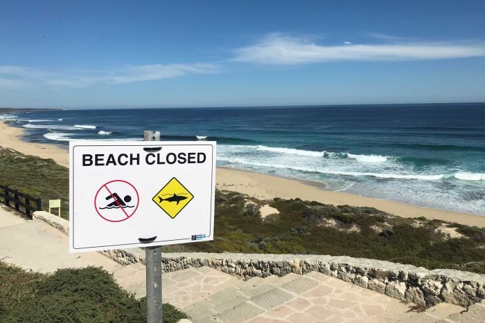 Tops voltam ao oeste australiano depois do cancelamento da etapa por causa da presença de tubarões em 2018.