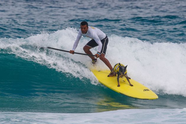 Maya surf dog, Itaúna, Saquarema (RJ). Foto: Sebastian Rojas.