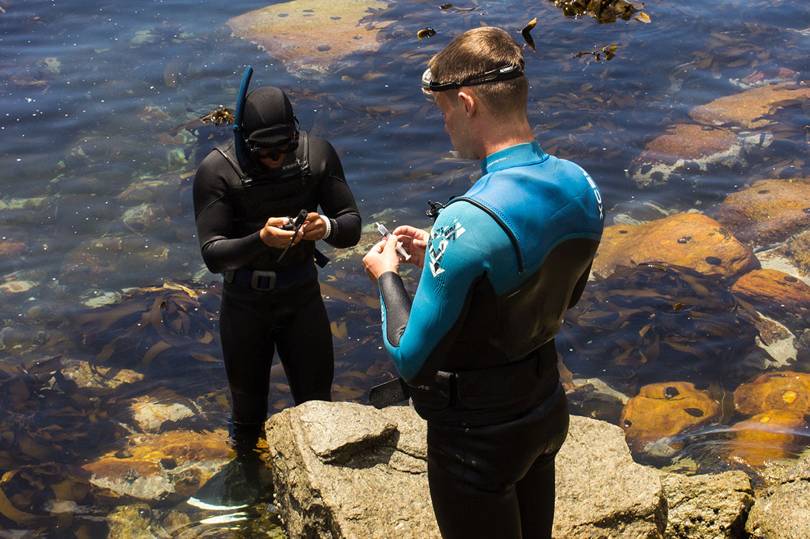 Mergulhadores testam o repelente criado por Collin Brooker nas águas infestadas da África do Sul.