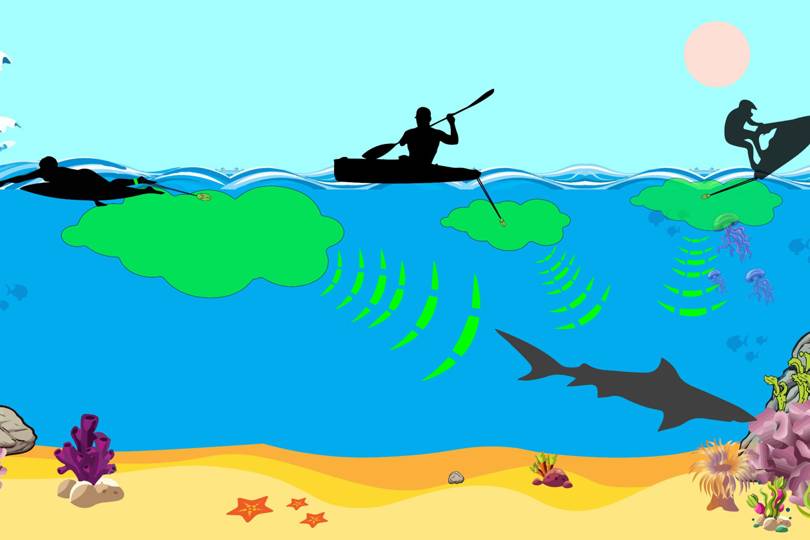 Repelente seria capaz de espantar os tubarões sem afetar o ecossistema ao redor.
