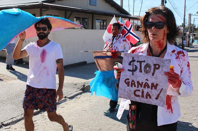 Manifestantes protestam contra decisões da Comissão Internacional da Baleia em Florianópolis (SC).