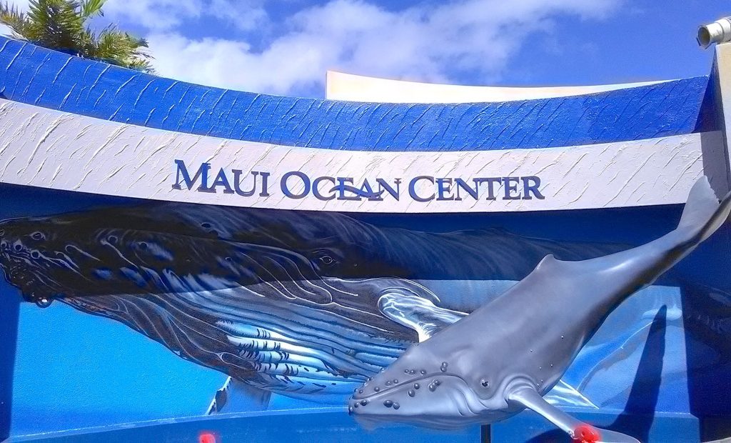 Arte de Hilton Alves é destaque no famoso aquário marinho Maui Ocean Center.