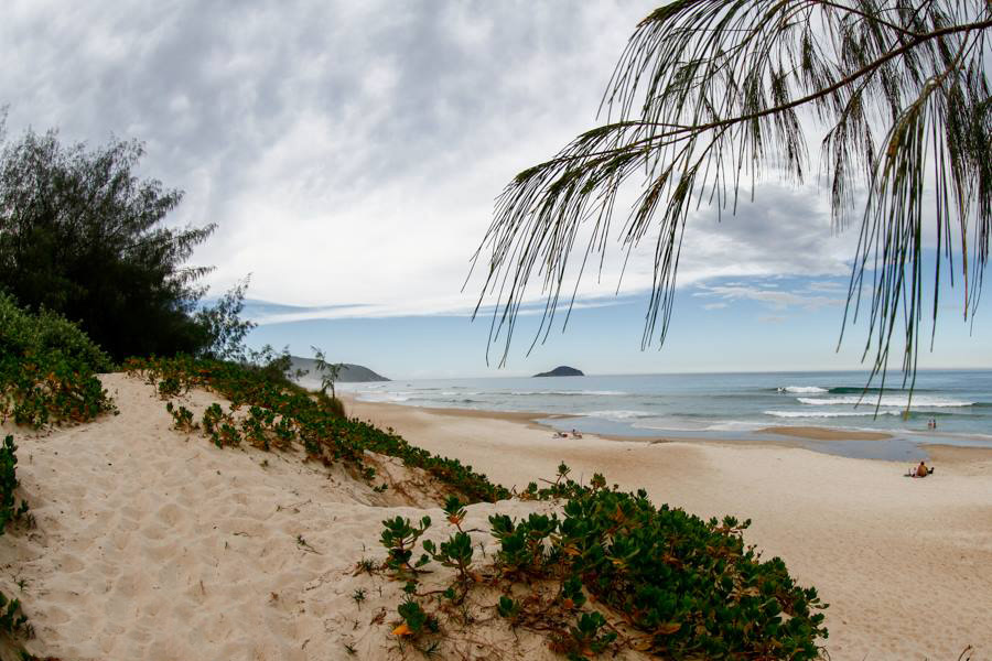 Praia do Moçambique está dentro do Parque Estadual do Rio Vermelho.
