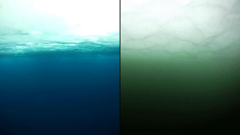 Monitorar a cor dos oceanos pode fornecer informações valiosas sobre os efeitos das mudanças climáticas no fitoplâncton.