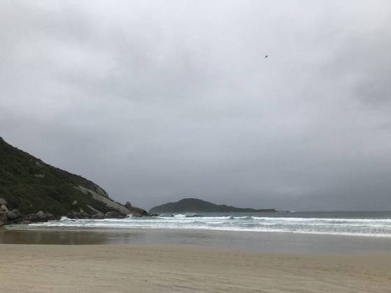 Santa Catarina. Foto: Surf Camp Fabio Gouveia / The Search House Floripa.