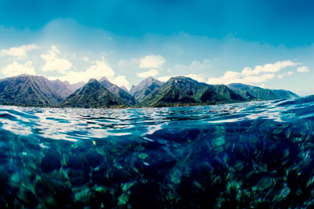 Reef breaks são responsáveis por uma rica fauna marinha e por ondas perfeitas como Teahupoo.