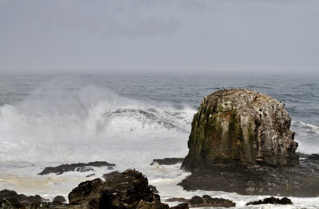 Punta de Lobos, Chile. Foto: David Nagamini.