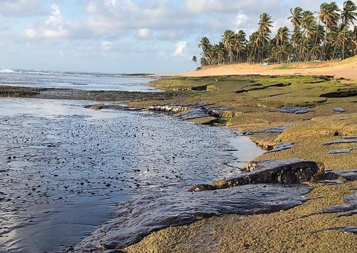 Petróleo impregna os corais da Praia do Forte, Mata de São João (BA).
