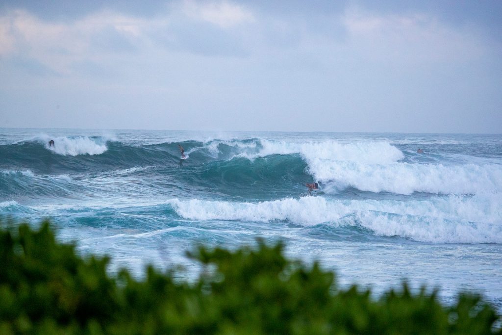 Previsão aponta ondas acima de 2 metros para as finais em Haleiwa.