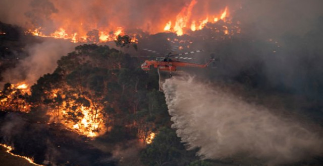 Até o momento, cerca de 4 milhões de hectares foram destruídos pelas chamas.