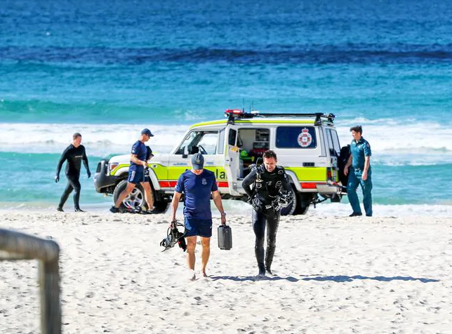 Acidente aconteceu em Palm Beach, famosa praia da Gold Coast.