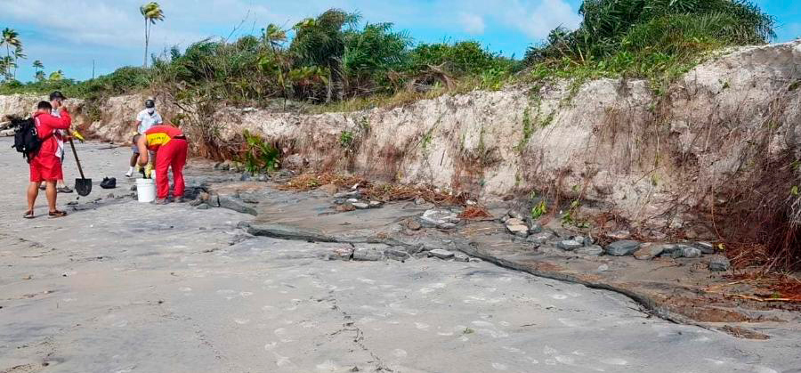 Cerca de 500 kg do material são retirados das areias de Ilhéus.