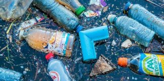 Plástico contamina o mar