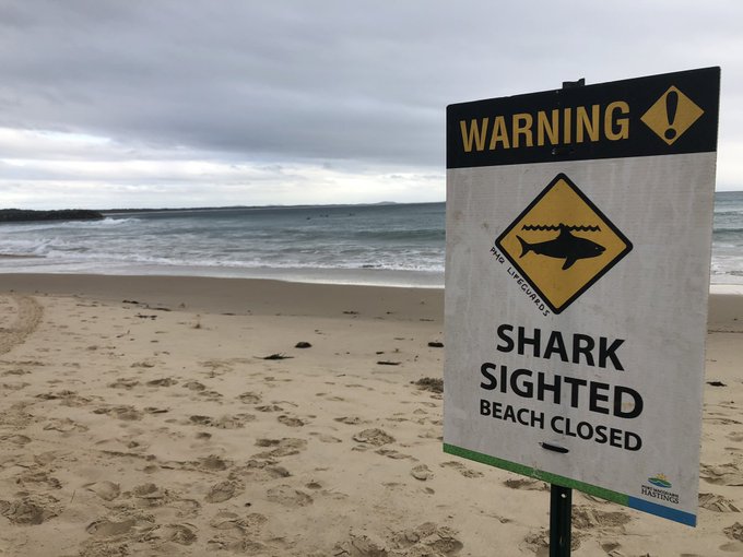 Praia de Town Beach foi fechada após o incidente.