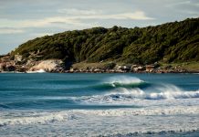 Surf trips para curtir