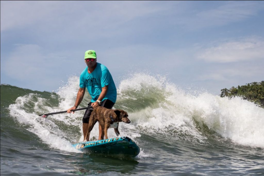 Parafina esbanja estilo com o parceiro Augusto Martins: modalidade “Surf Dog” está crescendo em todo o mundo.