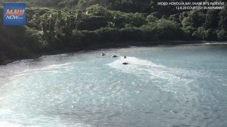 Ataque de tubarão em Honolua Bay, Maui. Foto: Reprodução.