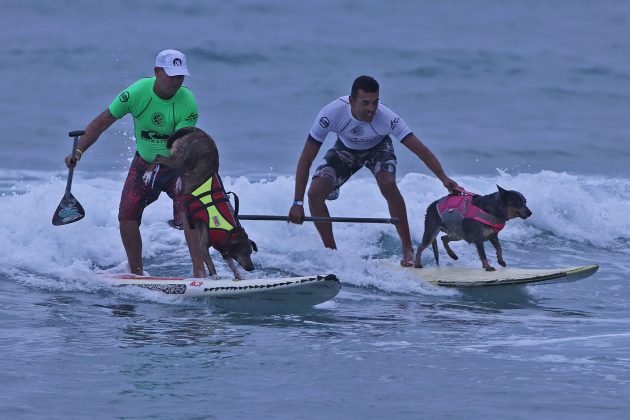 Surf Dog, Quiksilver Estadual 2020, Camburi, São Sebastião (SP). Foto: Munir El Hage.
