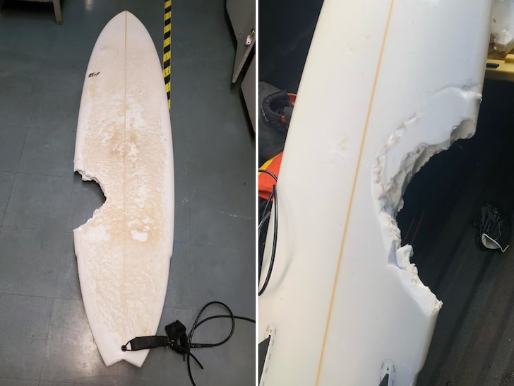 Prancha do surfista ficou destruída após a mordida em Honolua Bay.