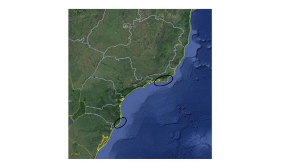 As áreas assinaladas configuram as “esquinas” do litoral brasileiro, regiões típicas de ressurgência.