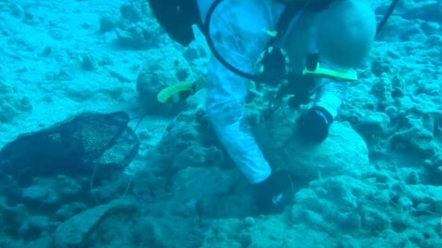 Voluntários da ONG Oceans Defenders Alliance recuperam câmera durante mergulho subaquático.