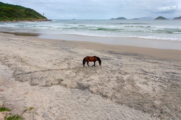 Naufragados, Florianópolis (SC). Foto: Matusa Gonzaga.