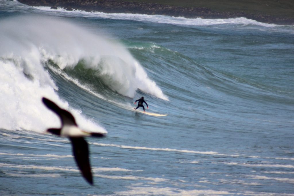 Fabiano encarou alguns dos maiores swells do ano em Santa Catarina.