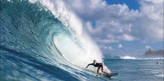 O inverno de Coco Ho