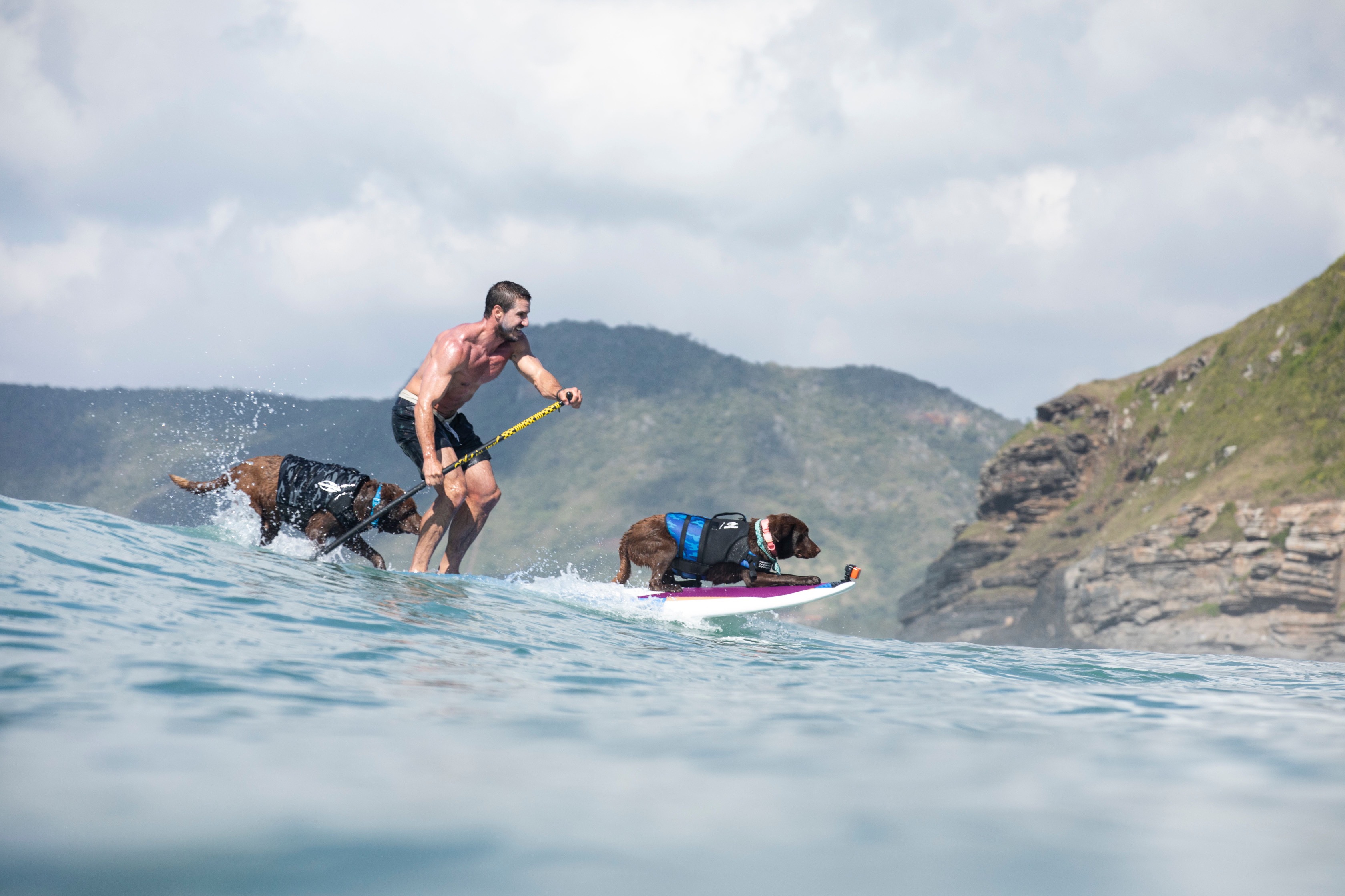 Competidor surfará com dois cães na mesma prancha.