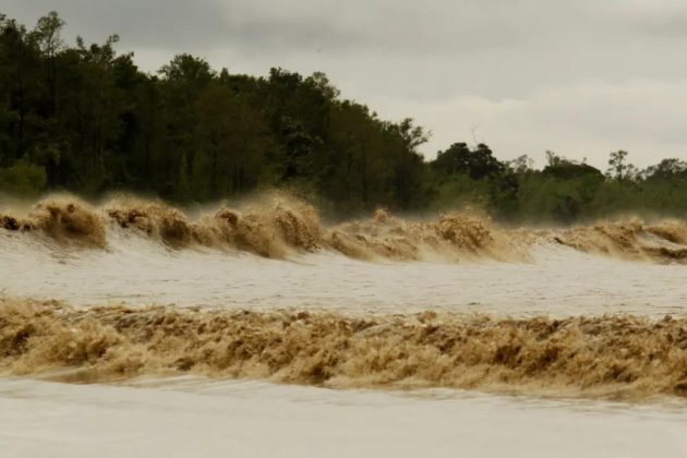Surf na Pororoca, Chaves, Arquipélago do Marajó (PA). Foto: Divulgação.
