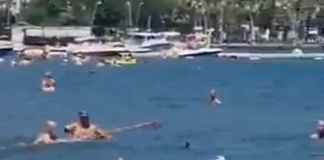Banhistas enfrentam tubarão