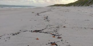 Manchas de óleo aparecem nas praias