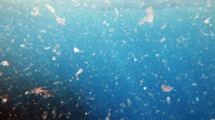 Microplásticos causam danos ao meio ambiente nos oceanos.