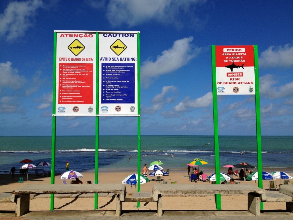 Recife premia autor de solução para evitar ataques de tubarão.