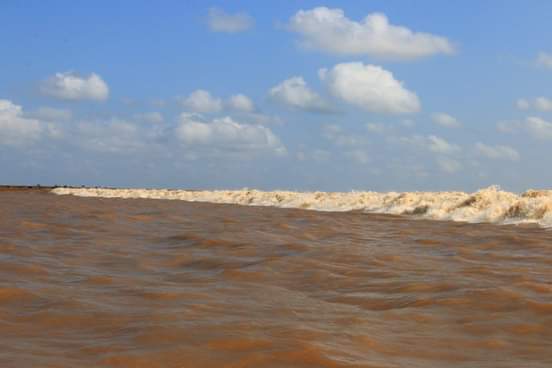 25º Surf na Pororoca, Rio Amazonas, Chaves (PA). Foto: Divulgação.