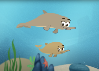 Animação infantil promove década do oceano