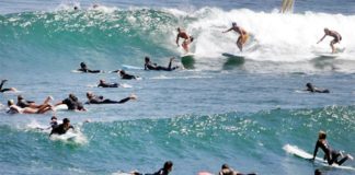 A arte de surfar no caos