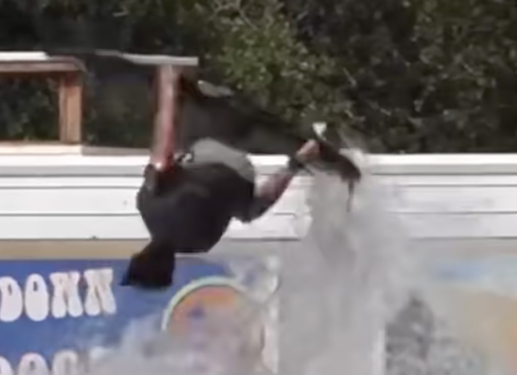 Yago Dora executa backflip na piscina de ondas de Waco (EUA)