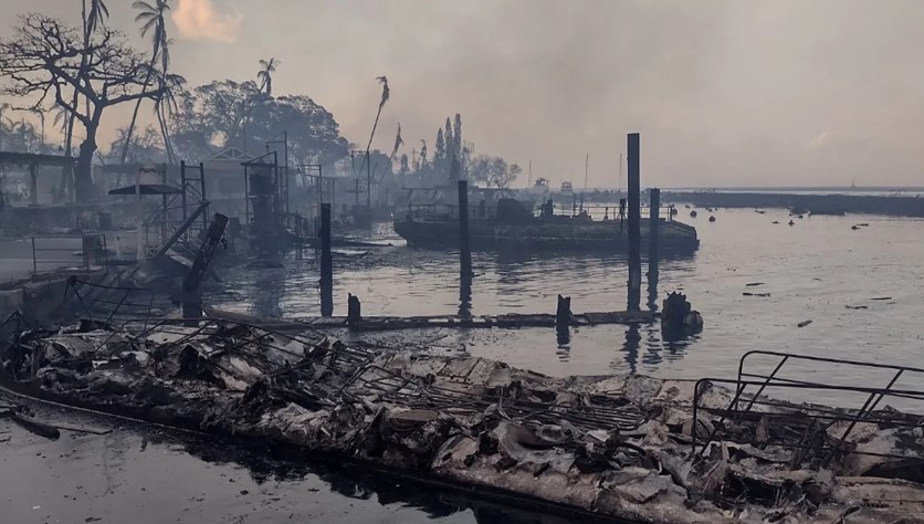 A marina devastada pelo fogo.