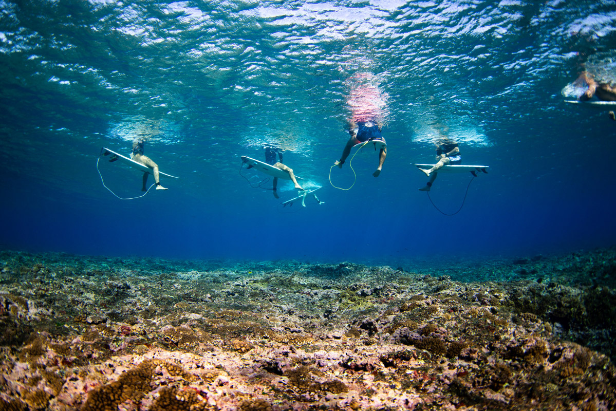 Governo da Polinésia Francesa busca solução para preservar bancada de coral em Teahupoo.
