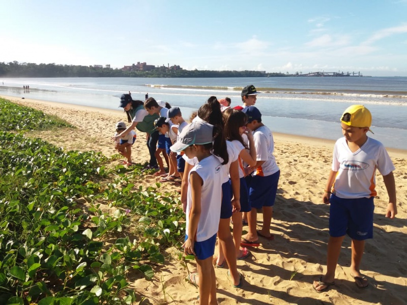 Alunos do Projeto Praia Limpa em ação, Vitória (ES).