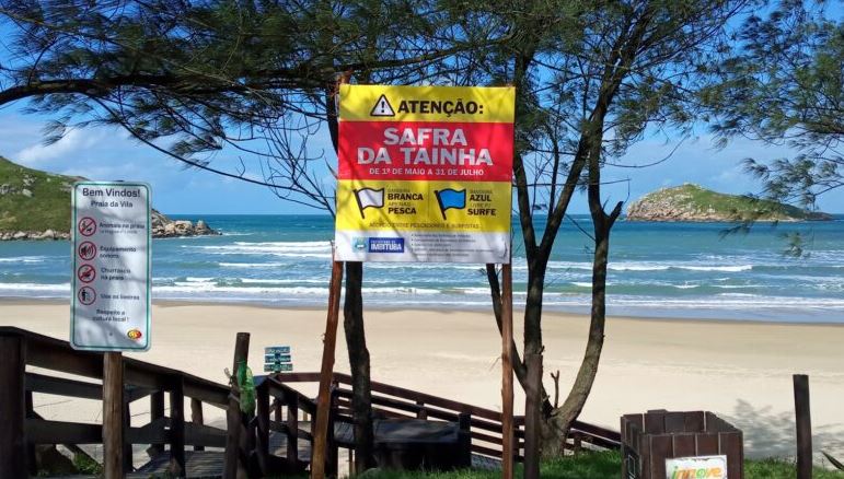 Sistema de bandeiras para Safra da Tainha é definido em todas praias de Imbituba (SC).