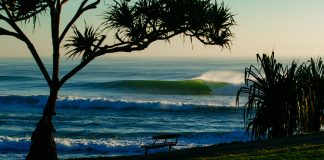 Batalha tubular em Grunters