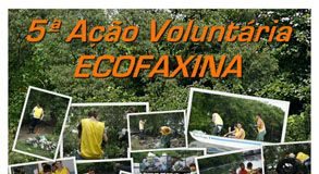 Voluntários recuperam manguezais