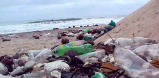 Praia do Catavento (CE) recebe mutirão de limpeza