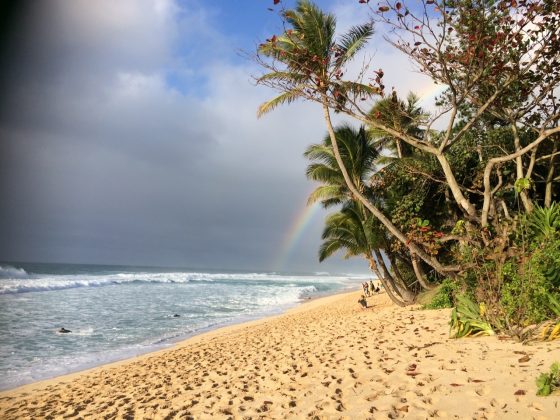 Bela vista da praia no Hawaii. Foto: Divulgação.
