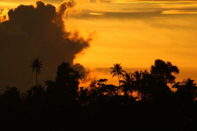 Ilhas Mentawai, Indonésia. Foto: Bruno Veiga / Liquid Eye.